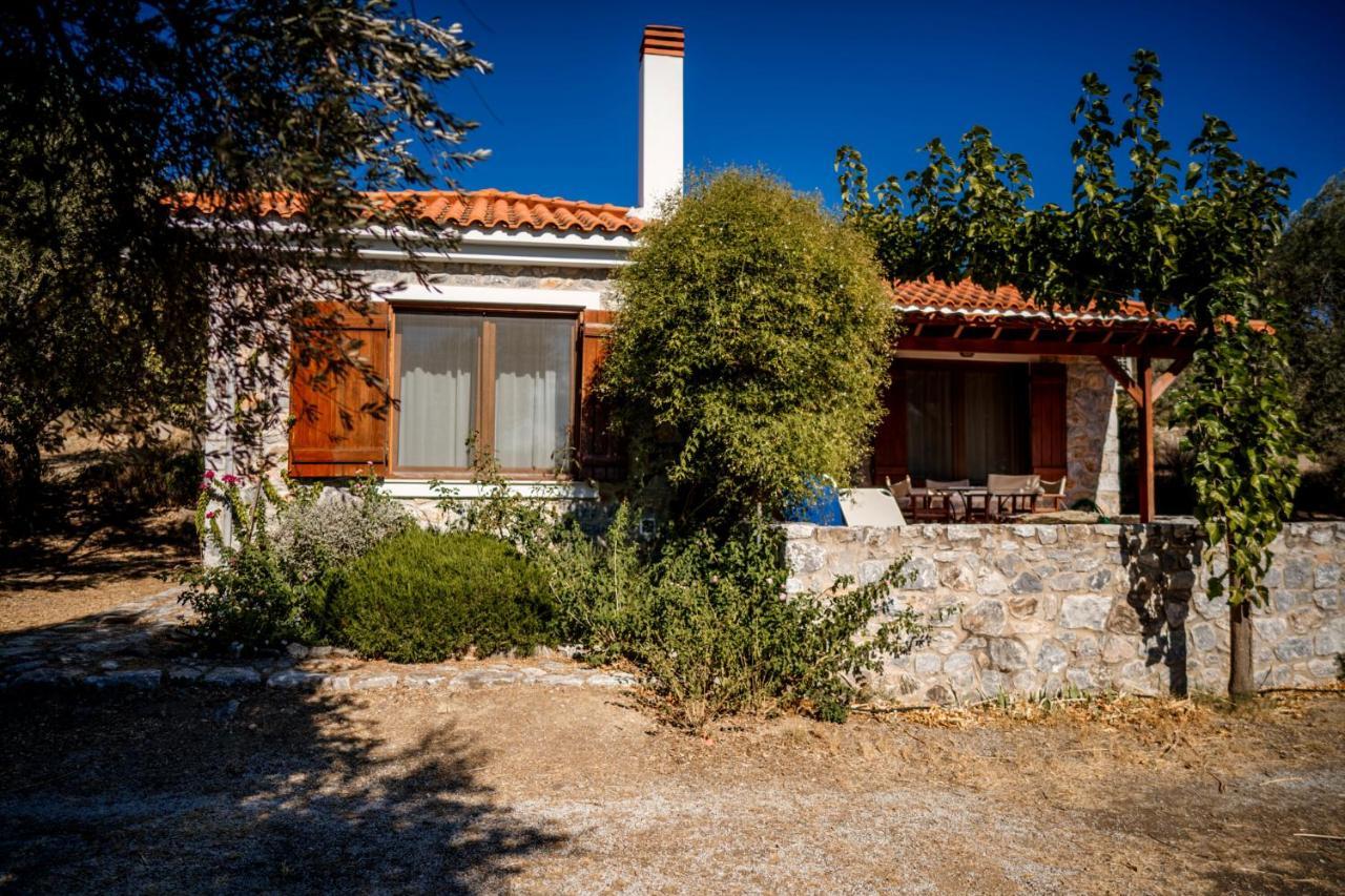 Traditional Stone House In Seafront Olive Grove A Alyfanta Extérieur photo
